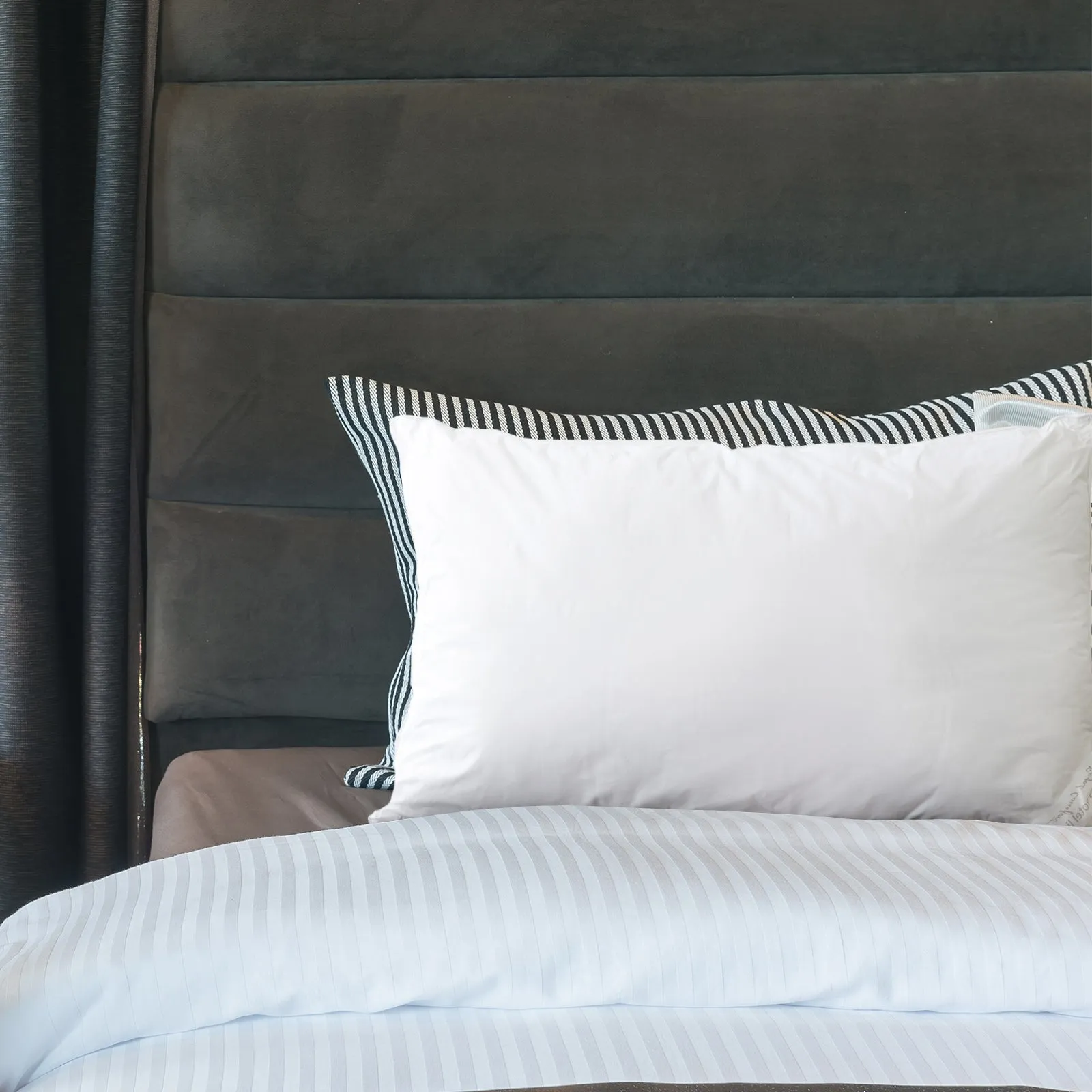 2 Pack Cotton Cover | 233TC Microfibre Luxury Signature Hotel Pillow