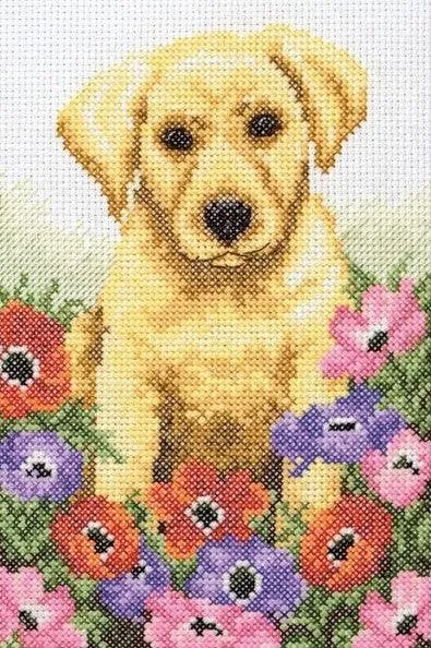 Cross Stitch Kit Anchor - Puppy