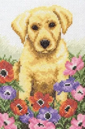 Cross Stitch Kit Anchor - Puppy