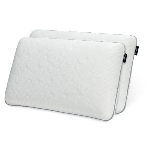 Dream Plush Memory Foam Pillow With Cool-to-the-touch Cover - Queen - 2 Pack