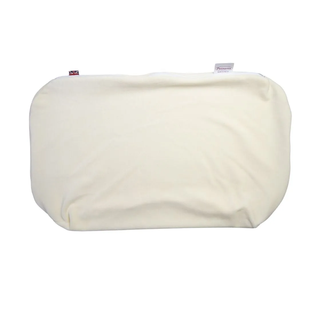Putnam Pillow Velour Cover
